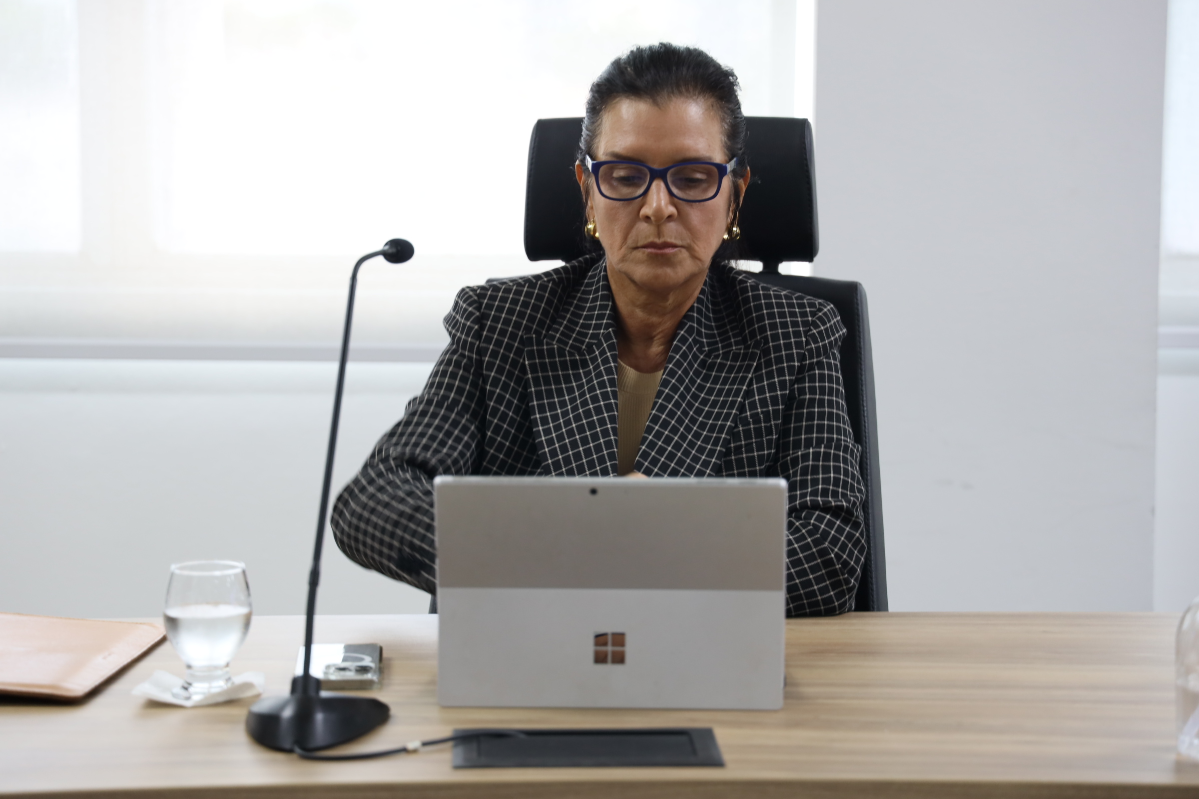 A procuradora Denise Guimarães durante a reunião do Colégio de Procuradores. Foto: Divulgação