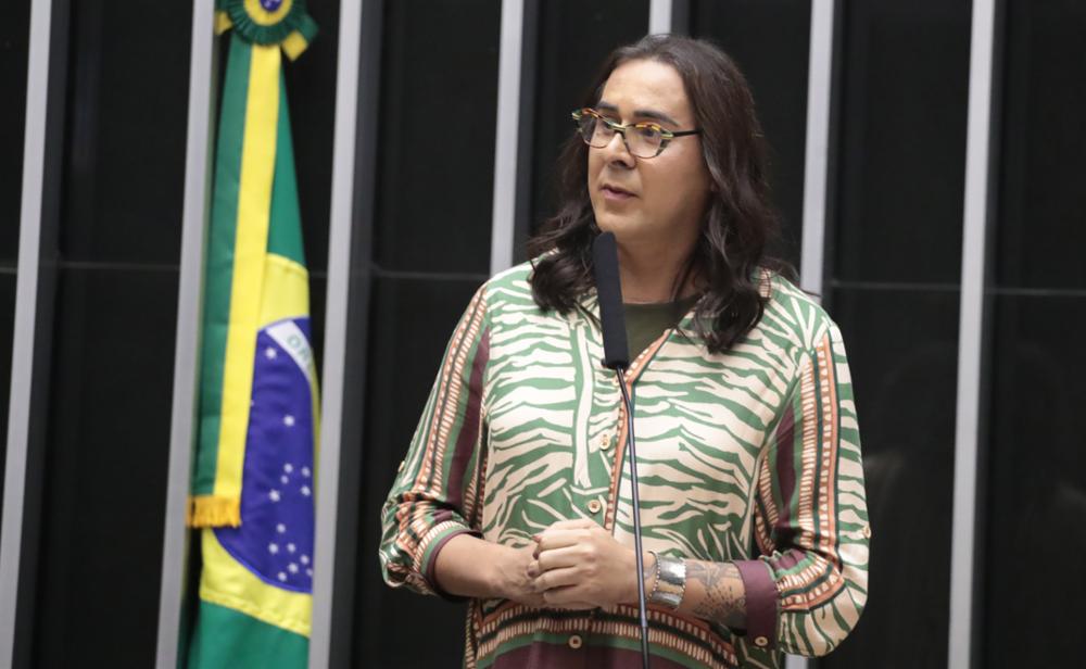 Duda Salabert. Foto: Bruno Spada/Câmara dos Deputados